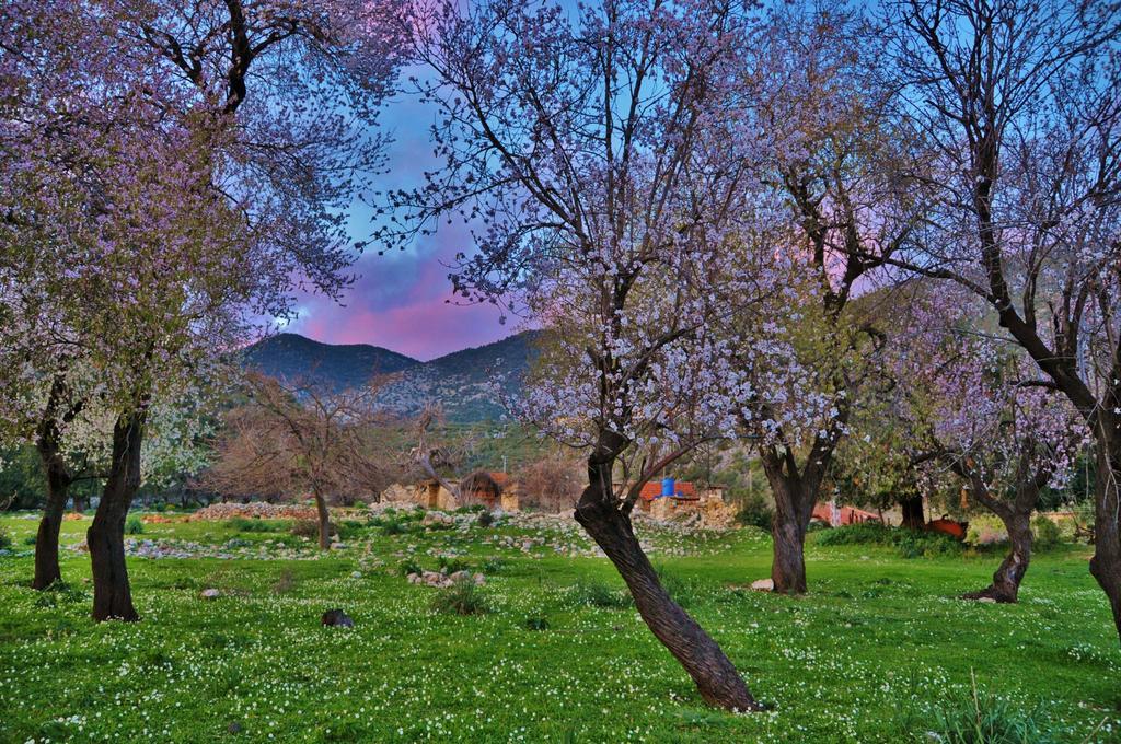 Beymelek Tas Evler Demre Exterior foto
